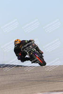 media/Oct-06-2025-2WTD (Mon) [[90522c3a0b]]/B Group/1120am (Grapevine)/